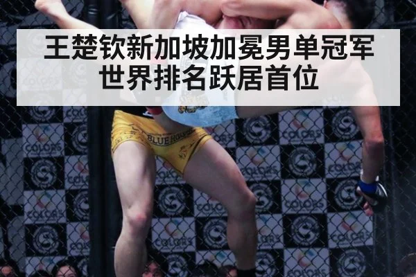 王楚钦新加坡加冕男单冠军 世界排名跃居首位